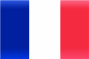 Drapeau tricolore francais (France)